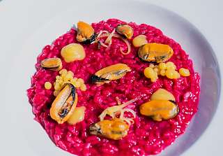 Rotes Risotto mit Meeresfrüchten – Muscheln und Jakobsmuscheln auf leuchtendem Risotto, serviert auf einem weissen Teller